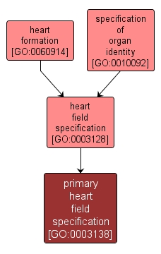 Primary Heart Field