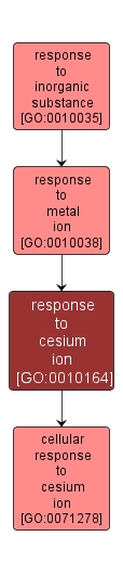 cesium ion