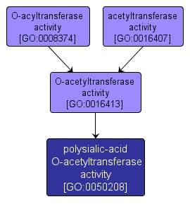 polysialic acid