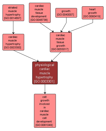 how-do-i-increase-the-size-of-my-variable-aggiornatonovembre-2022