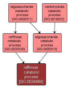 GO:0034484 - raffinose catabolic process (interactive image map)