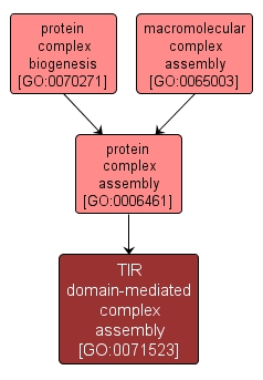 tir domain