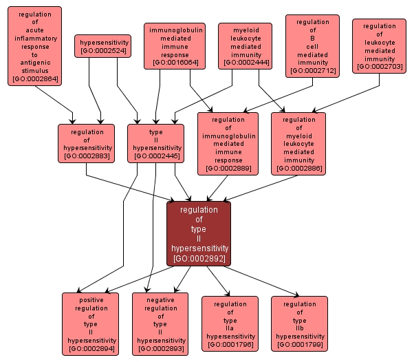 Hypersensitivity Type 2