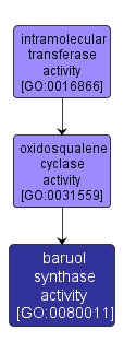 GO:0080011 - baruol synthase activity (interactive image map)