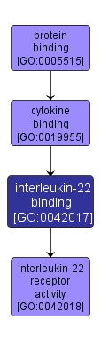 GO:0042017 - interleukin-22 binding (interactive image map)