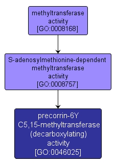 GO:0046025 - precorrin-6Y C5,15-methyltransferase (decarboxylating) activity (interactive image map)