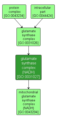 GO:0031027 - glutamate synthase complex (NADH) (interactive image map)