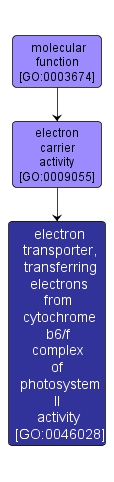 GO:0046028 - electron transporter, transferring electrons from cytochrome b6/f complex of photosystem II activity (interactive image map)