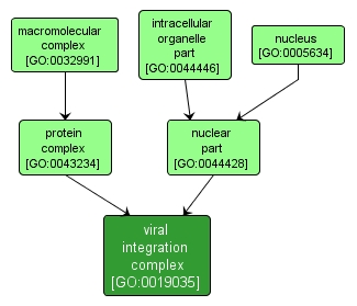 GO:0019035 - viral integration complex (interactive image map)