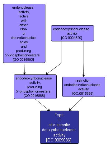 GO:0009036 - Type II site-specific deoxyribonuclease activity (interactive image map)