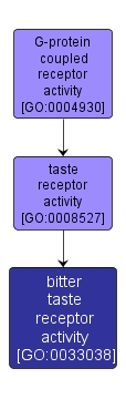 GO:0033038 - bitter taste receptor activity (interactive image map)