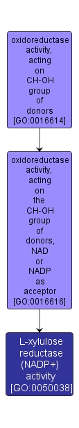 GO:0050038 - L-xylulose reductase (NADP+) activity (interactive image map)