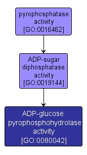 GO:0080042 - ADP-glucose pyrophosphohydrolase activity (interactive image map)