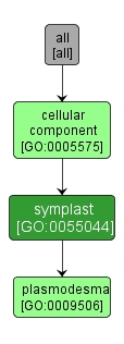 GO:0055044 - symplast (interactive image map)