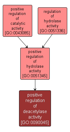 GO:0090045 - positive regulation of deacetylase activity (interactive image map)
