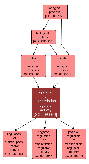 GO:0090046 - regulation of transcription regulator activity (interactive image map)