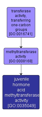 GO:0035049 - juvenile hormone acid methyltransferase activity (interactive image map)