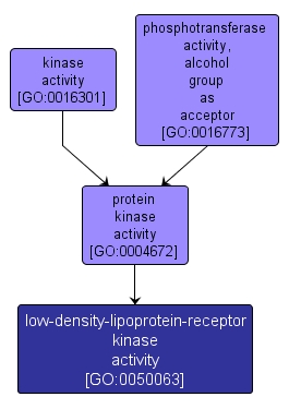 GO:0050063 - low-density-lipoprotein-receptor kinase activity (interactive image map)