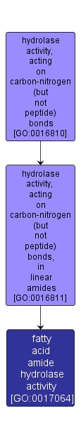 GO:0017064 - fatty acid amide hydrolase activity (interactive image map)