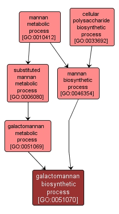 GO:0051070 - galactomannan biosynthetic process (interactive image map)