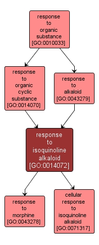 GO:0014072 - response to isoquinoline alkaloid (interactive image map)