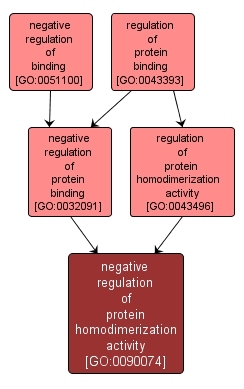 GO:0090074 - negative regulation of protein homodimerization activity (interactive image map)