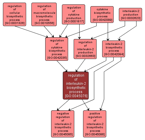 GO:0045076 - regulation of interleukin-2 biosynthetic process (interactive image map)