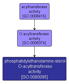 GO:0080095 - phosphatidylethanolamine-sterol O-acyltransferase activity (interactive image map)