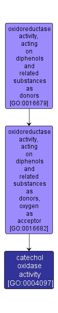 GO:0004097 - catechol oxidase activity (interactive image map)