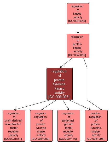 GO:0061097 - regulation of protein tyrosine kinase activity (interactive image map)