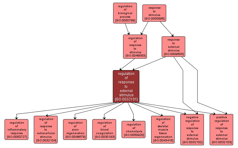 GO:0032101 - regulation of response to external stimulus (interactive image map)