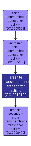 GO:0015105 - arsenite transmembrane transporter activity (interactive image map)