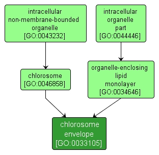 GO:0033105 - chlorosome envelope (interactive image map)