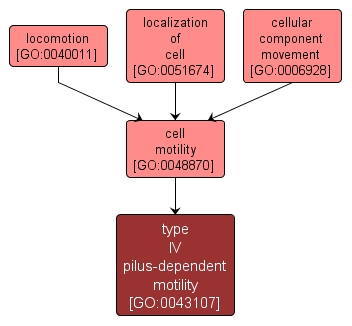 GO:0043107 - type IV pilus-dependent motility (interactive image map)
