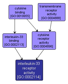 GO:0002114 - interleukin-33 receptor activity (interactive image map)