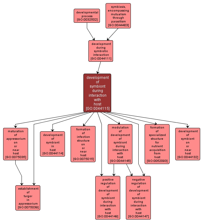 GO:0044115 - development of symbiont during interaction with host (interactive image map)