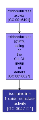 GO:0047121 - isoquinoline 1-oxidoreductase activity (interactive image map)