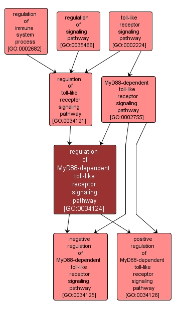 GO:0034124 - regulation of MyD88-dependent toll-like receptor signaling pathway (interactive image map)