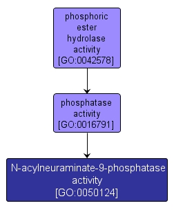 GO:0050124 - N-acylneuraminate-9-phosphatase activity (interactive image map)