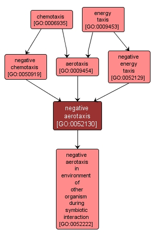 GO:0052130 - negative aerotaxis (interactive image map)