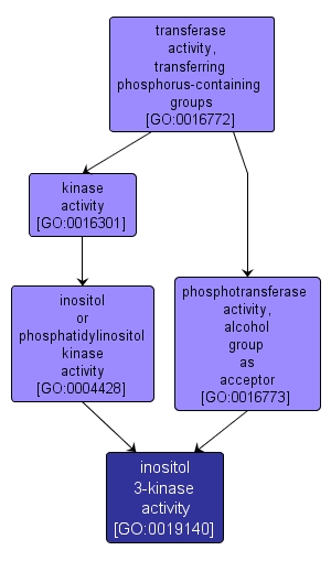 GO:0019140 - inositol 3-kinase activity (interactive image map)