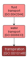GO:0010148 - transpiration (interactive image map)