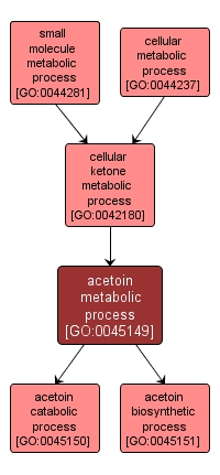 GO:0045149 - acetoin metabolic process (interactive image map)