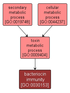 GO:0030153 - bacteriocin immunity (interactive image map)