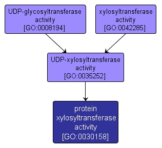 GO:0030158 - protein xylosyltransferase activity (interactive image map)