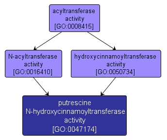 GO:0047174 - putrescine N-hydroxycinnamoyltransferase activity (interactive image map)