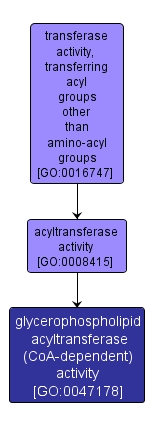 GO:0047178 - glycerophospholipid acyltransferase (CoA-dependent) activity (interactive image map)