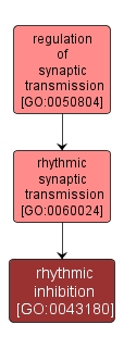 GO:0043180 - rhythmic inhibition (interactive image map)