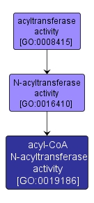 GO:0019186 - acyl-CoA N-acyltransferase activity (interactive image map)