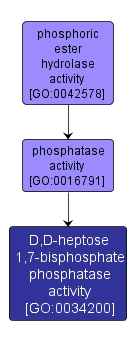 GO:0034200 - D,D-heptose 1,7-bisphosphate phosphatase activity (interactive image map)